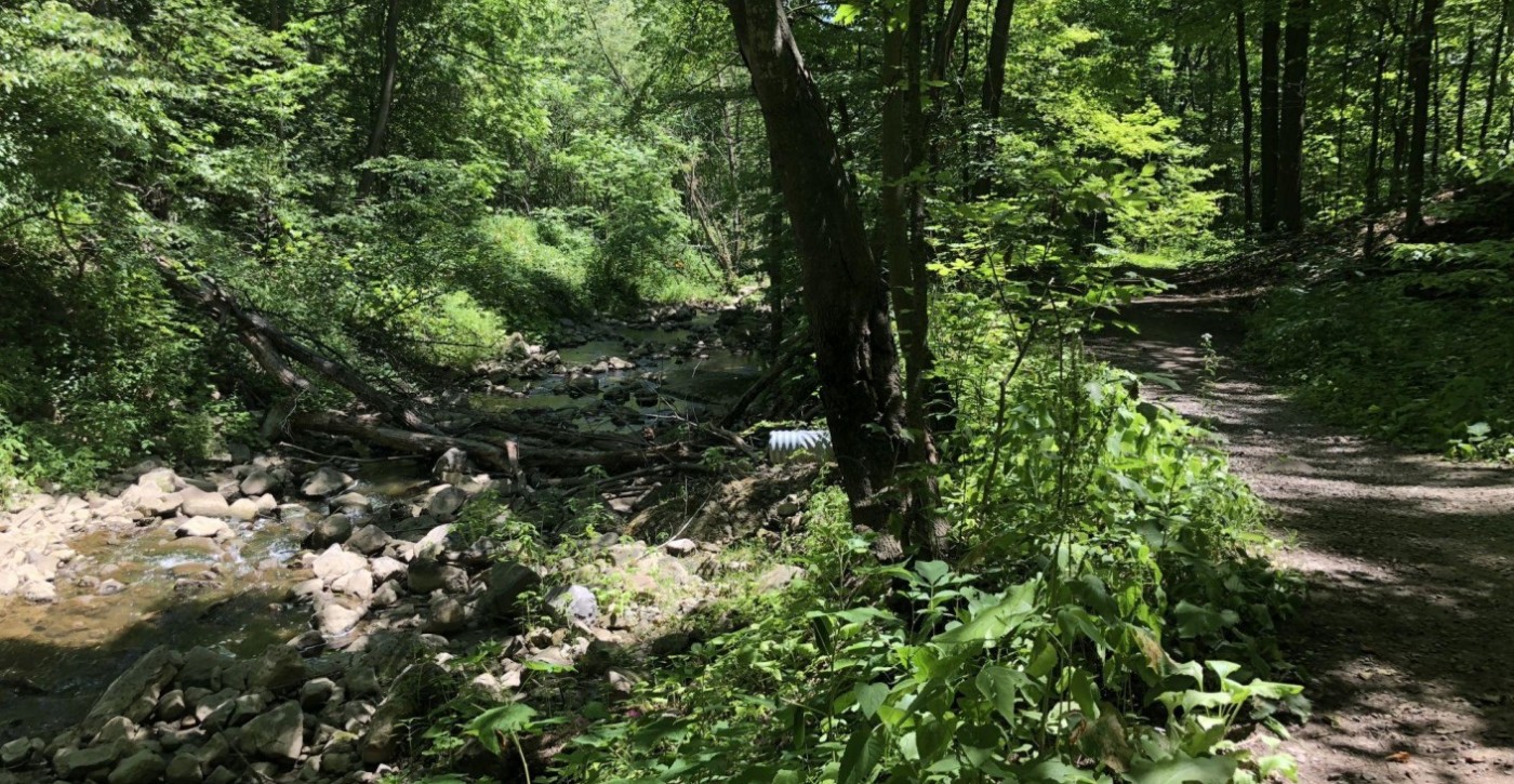 Forêt de l'Abbaye d'Oka, Oka